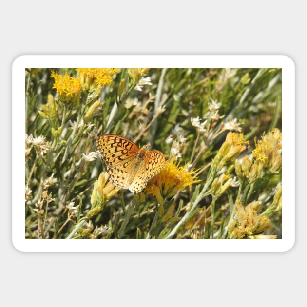 Painted Lady, Butterfly, Nature, Wildlife Sticker by sandyo2ly